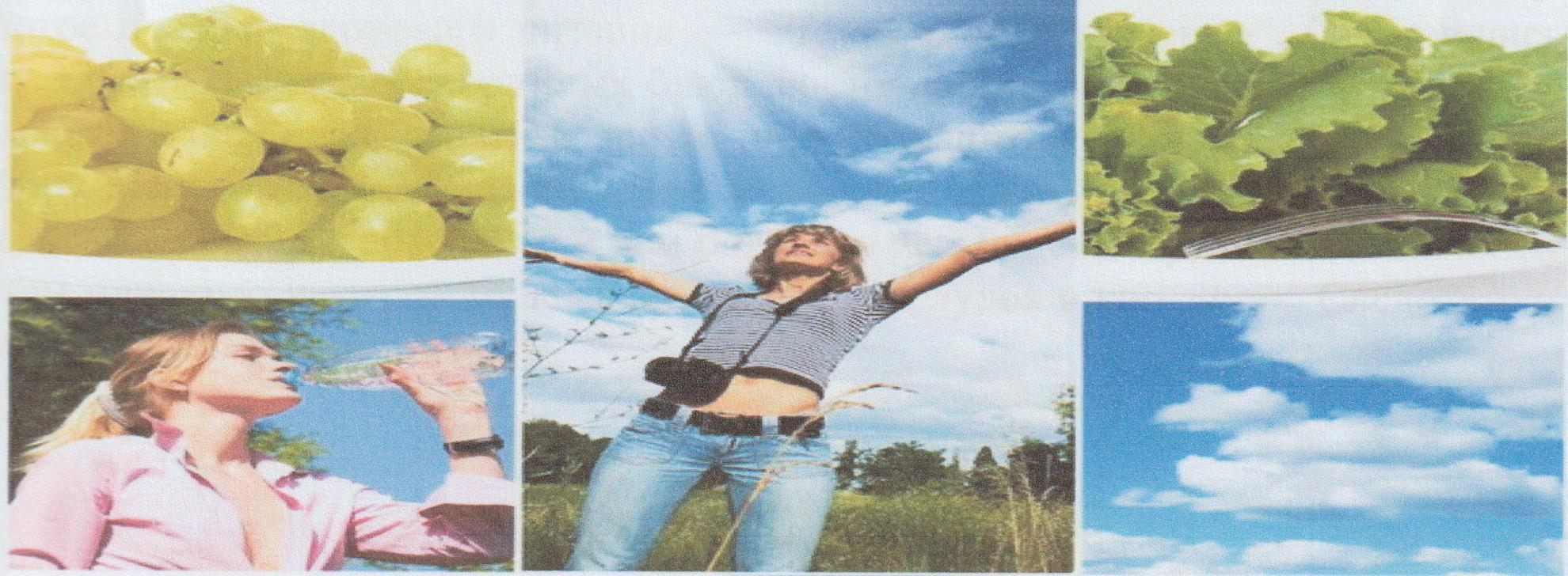 Здоровое питание